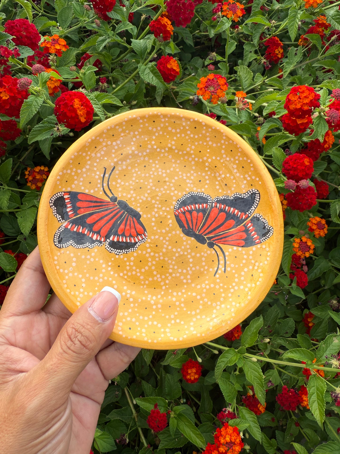 Monarca tacita & plato set (light orange)